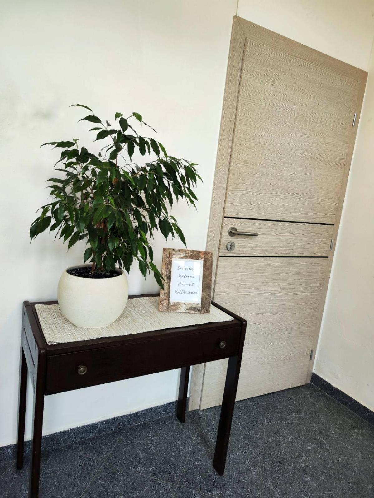 Apartment Mira 弗尔萨尔 外观 照片